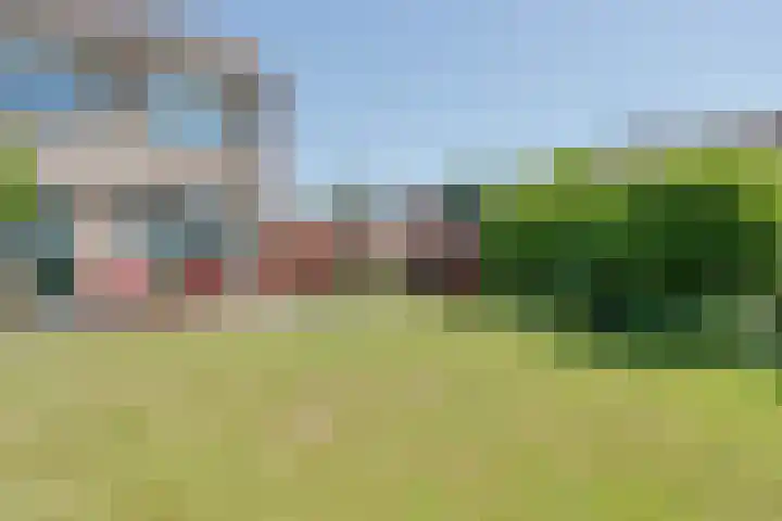 Debussylaan 16 Raamsdonksveer thumbnail 48
