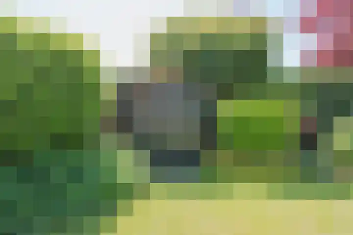 Debussylaan 16 Raamsdonksveer thumbnail 50