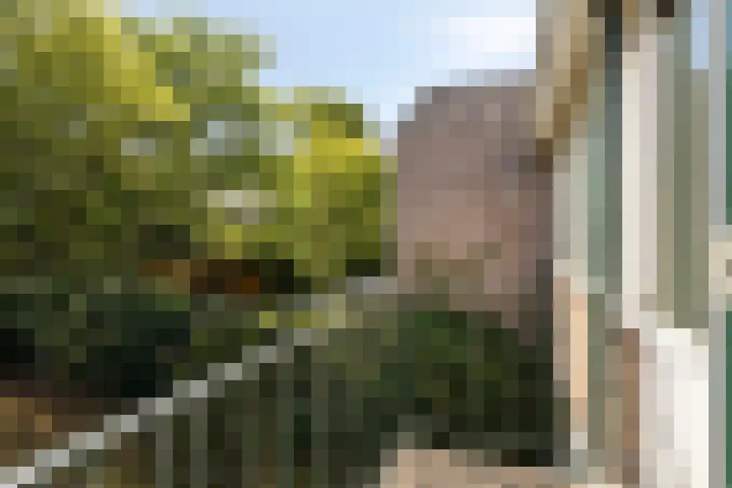 Debussylaan 18 Rosmalen thumbnail 16