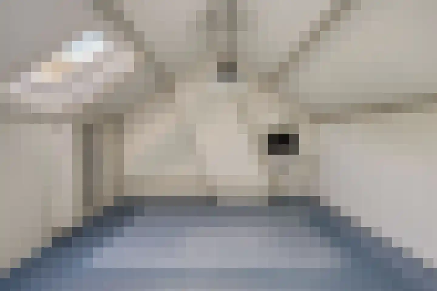 Debussylaan 18 Rosmalen thumbnail 23