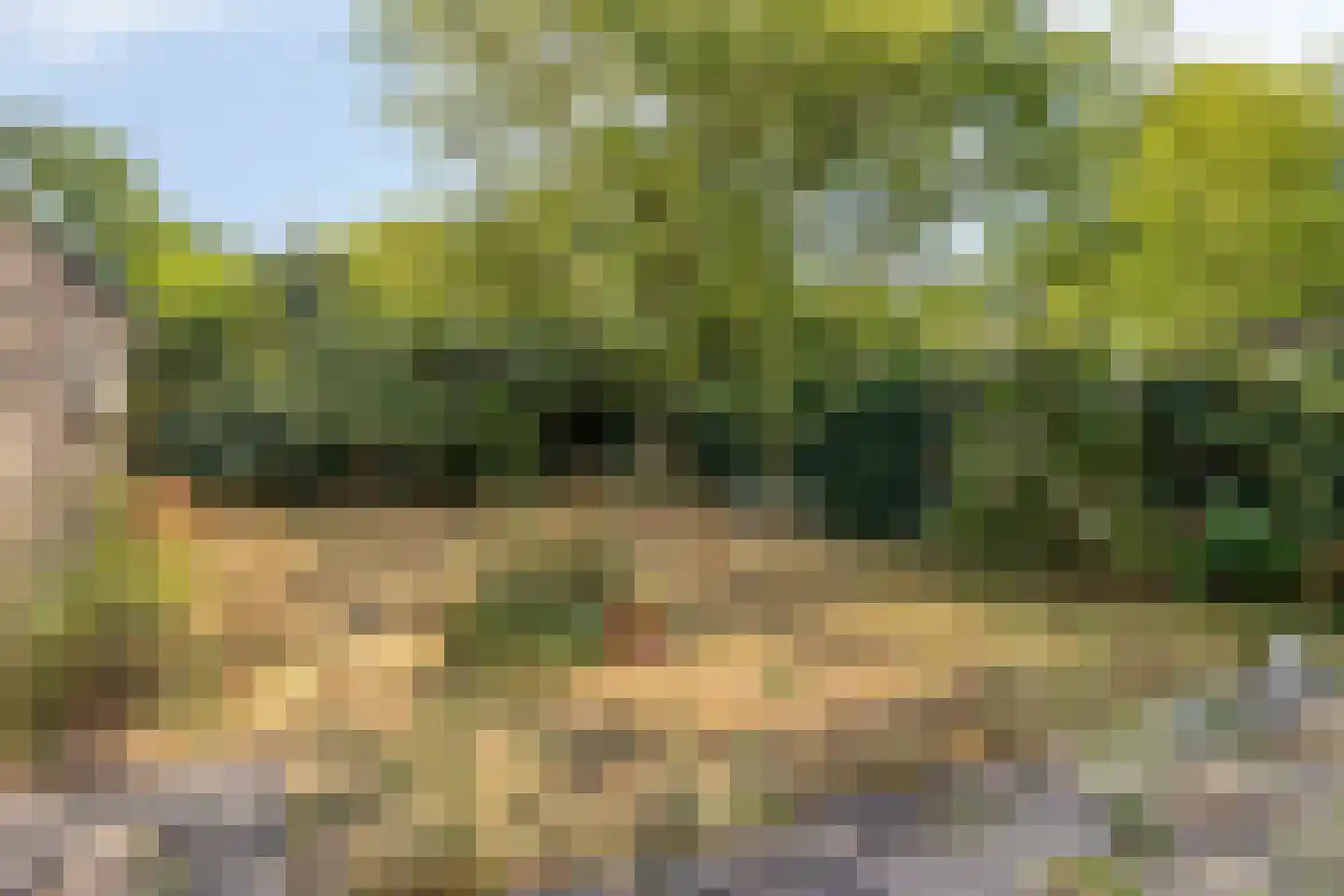 Debussylaan 18 Rosmalen thumbnail 24