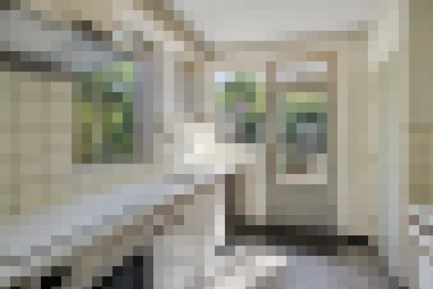 Debussylaan 18 Rosmalen thumbnail 7