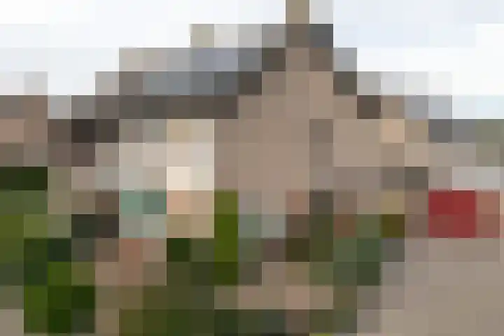 Debussylaan 19 Raamsdonksveer thumbnail 10