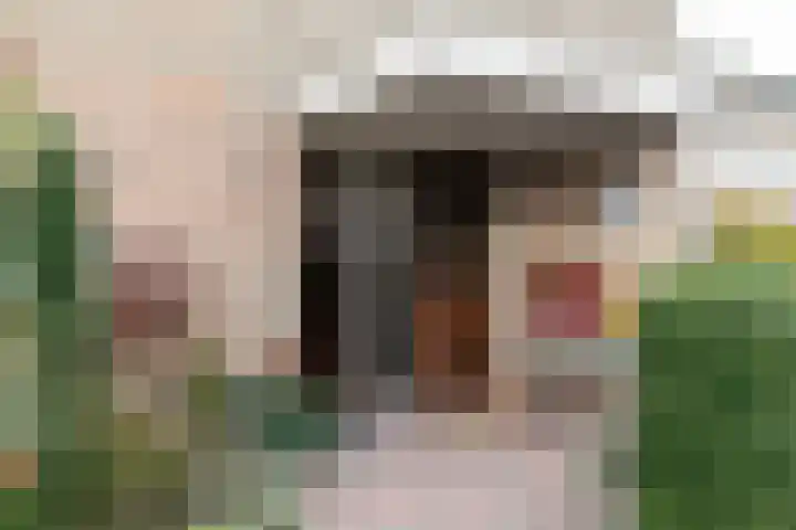 Debussylaan 19 Raamsdonksveer thumbnail 11