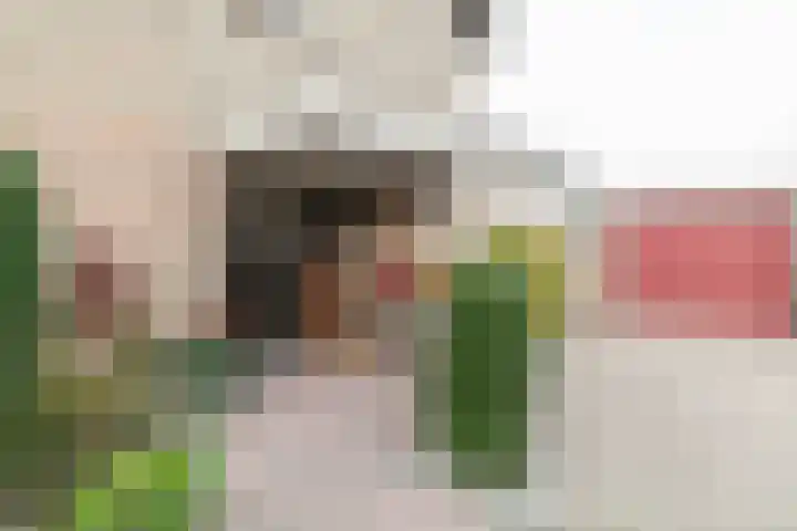 Debussylaan 19 Raamsdonksveer thumbnail 12