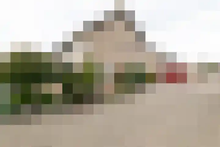 Debussylaan 19 Raamsdonksveer thumbnail 13