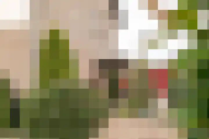 Debussylaan 19 Raamsdonksveer thumbnail 14