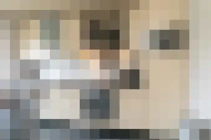 Debussylaan 19 Raamsdonksveer thumbnail 34
