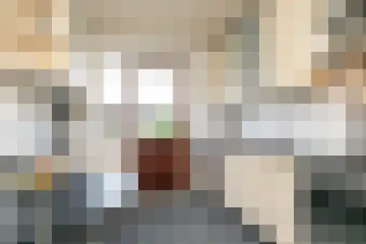 Debussylaan 19 Raamsdonksveer thumbnail 35