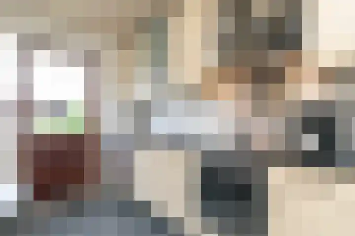 Debussylaan 19 Raamsdonksveer thumbnail 36