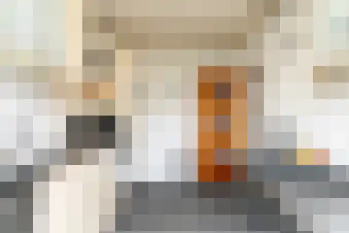 Debussylaan 19 Raamsdonksveer thumbnail 37