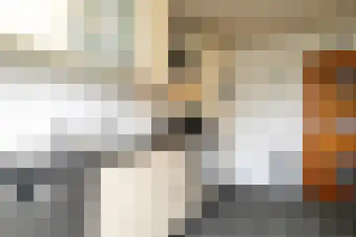 Debussylaan 19 Raamsdonksveer thumbnail 38