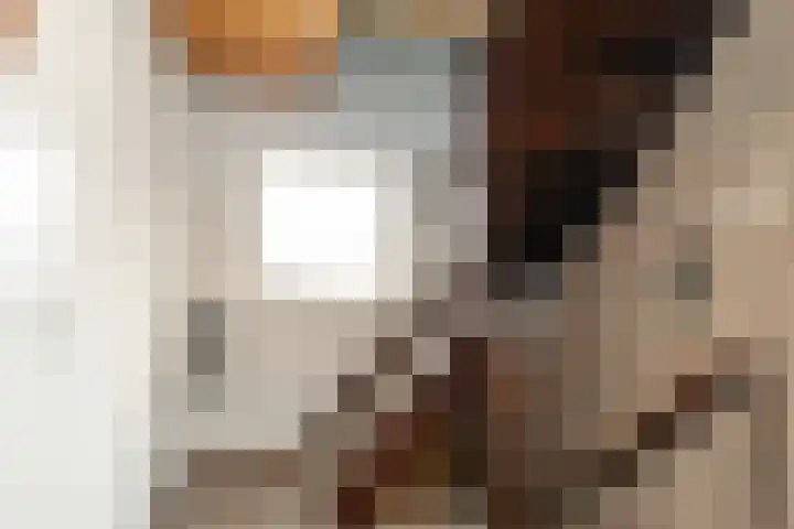 Debussylaan 19 Raamsdonksveer thumbnail 39