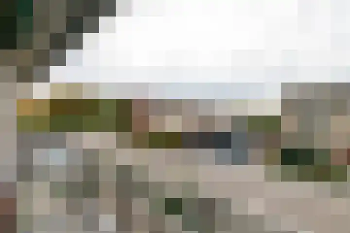 Debussylaan 19 Raamsdonksveer thumbnail 45