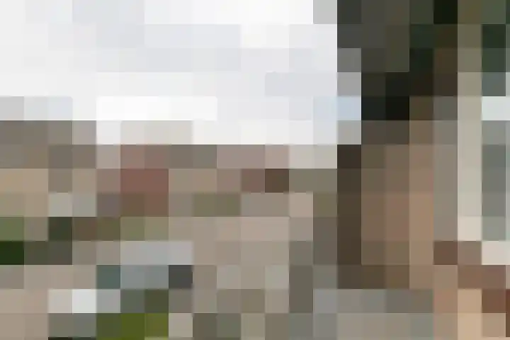Debussylaan 19 Raamsdonksveer thumbnail 46
