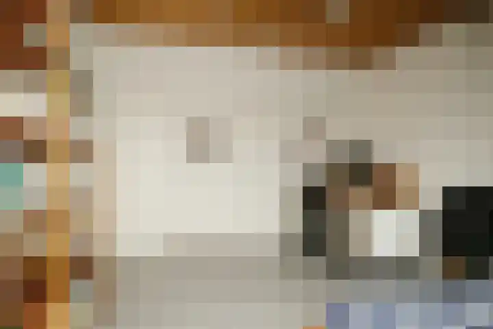 Debussylaan 19 Raamsdonksveer thumbnail 57