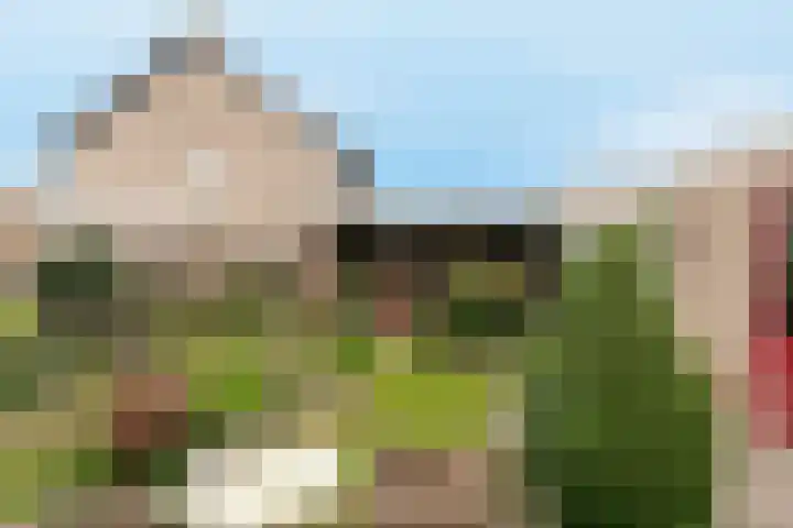 Debussylaan 19 Raamsdonksveer thumbnail 58
