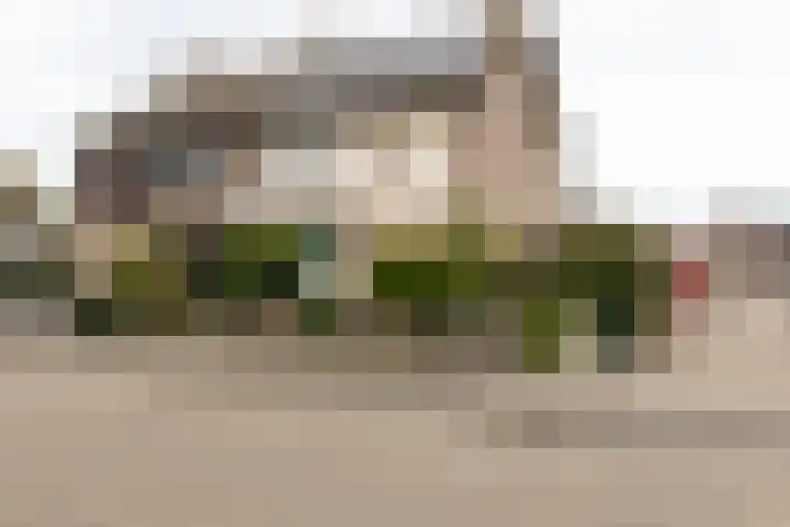 Debussylaan 19 Raamsdonksveer thumbnail 6
