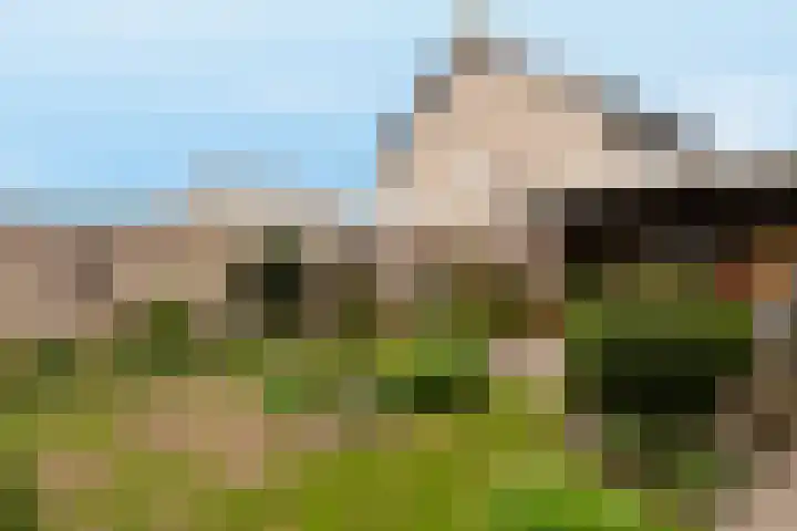 Debussylaan 19 Raamsdonksveer thumbnail 60