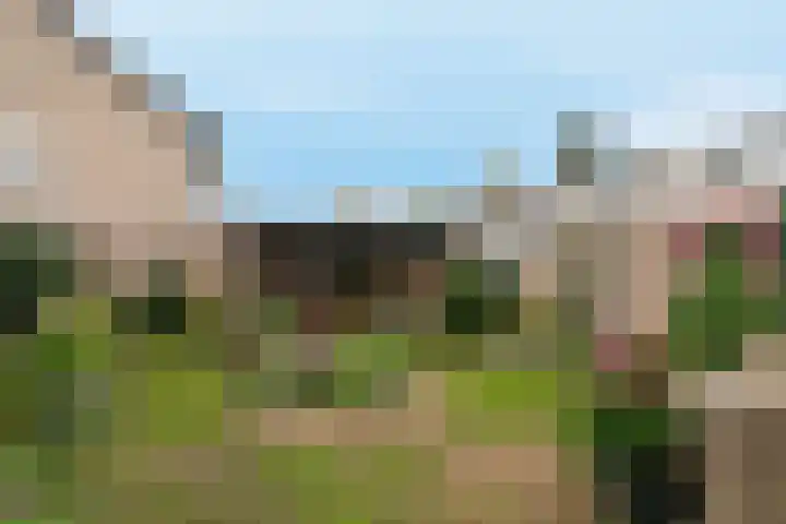 Debussylaan 19 Raamsdonksveer thumbnail 61