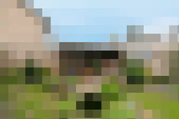 Debussylaan 19 Raamsdonksveer thumbnail 62