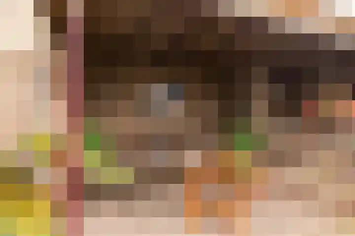 Debussylaan 19 Raamsdonksveer thumbnail 63