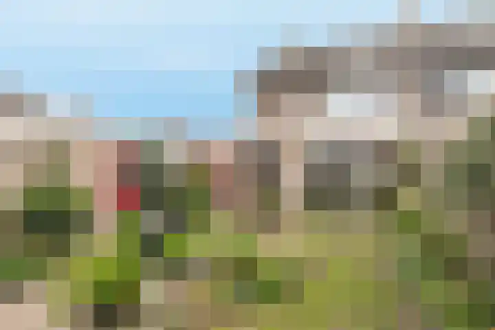 Debussylaan 19 Raamsdonksveer thumbnail 64