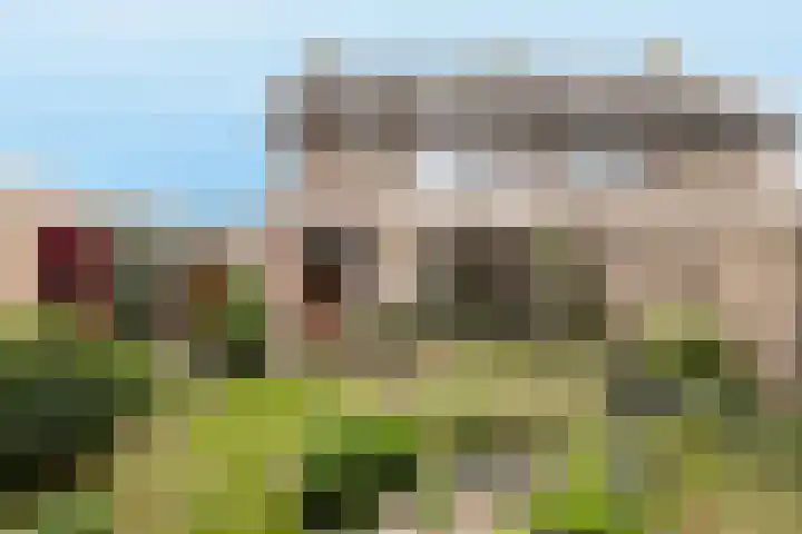 Debussylaan 19 Raamsdonksveer thumbnail 65