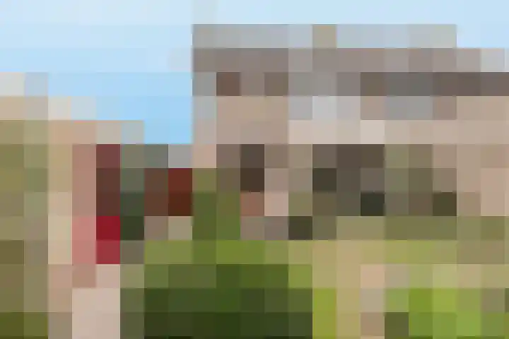Debussylaan 19 Raamsdonksveer thumbnail 66
