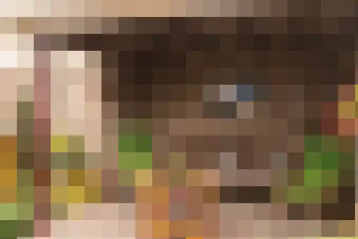 Debussylaan 19 Raamsdonksveer thumbnail 67