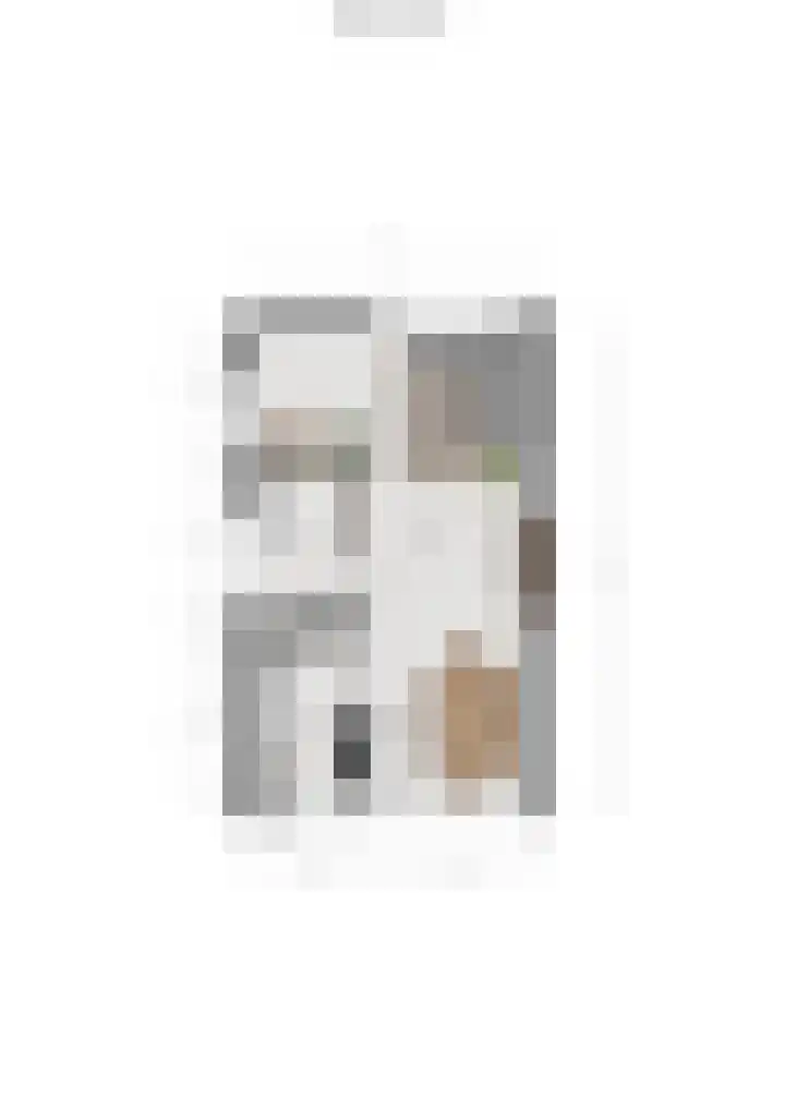 Debussylaan 19 Raamsdonksveer thumbnail 68
