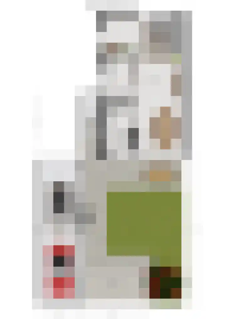 Debussylaan 19 Raamsdonksveer thumbnail 69