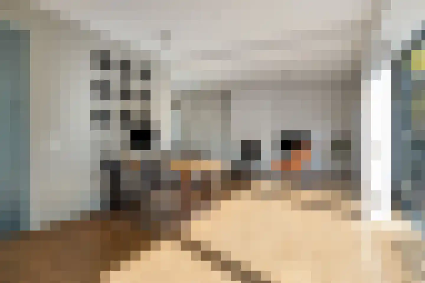 Debussylaan 22 Rosmalen thumbnail 12