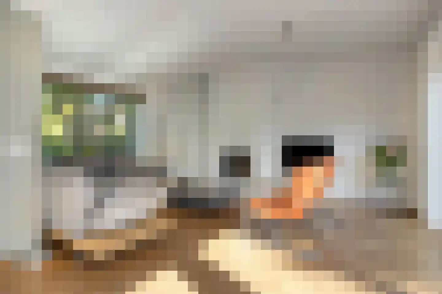Debussylaan 22 Rosmalen thumbnail 13