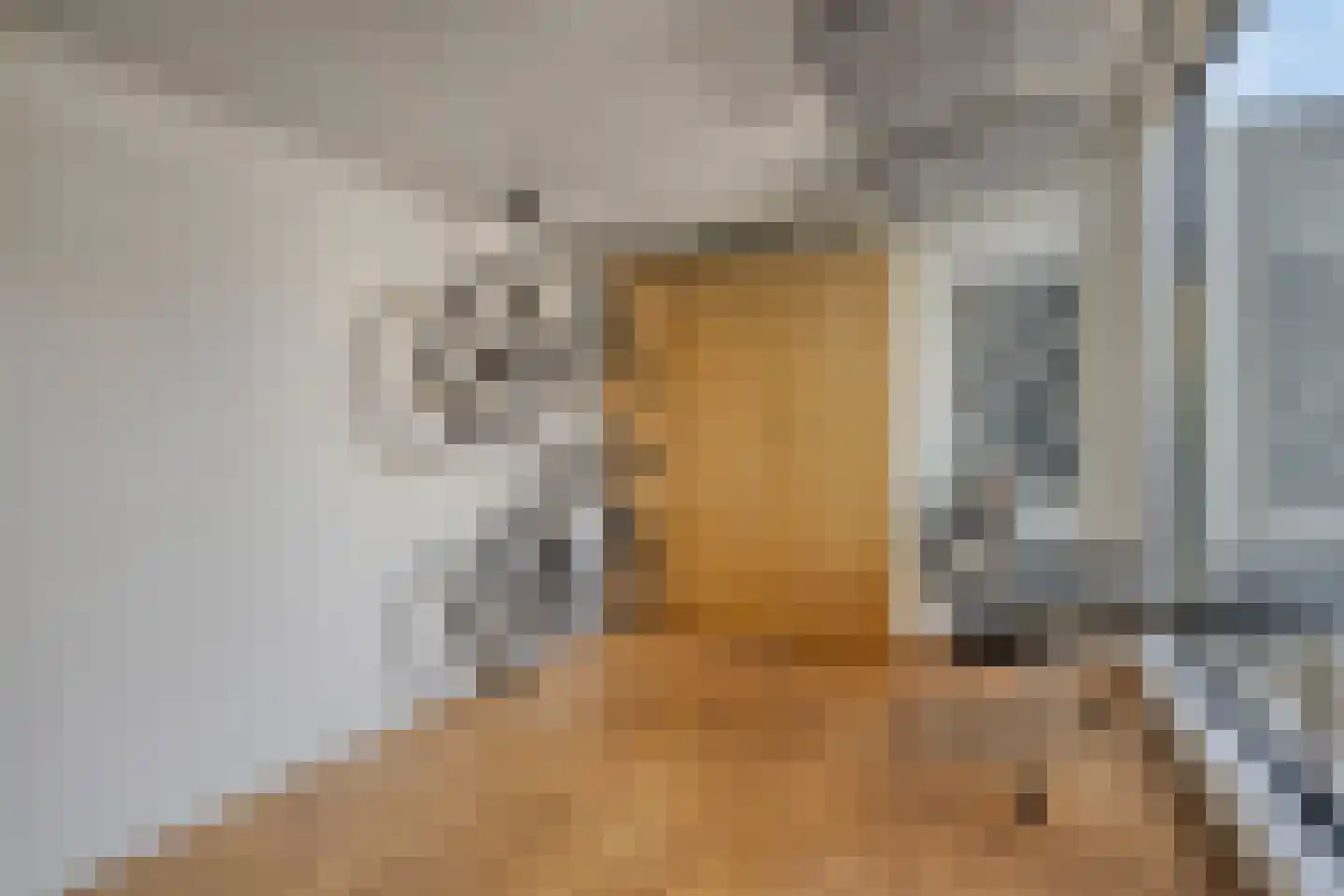 Debussylaan 22 Rosmalen thumbnail 20
