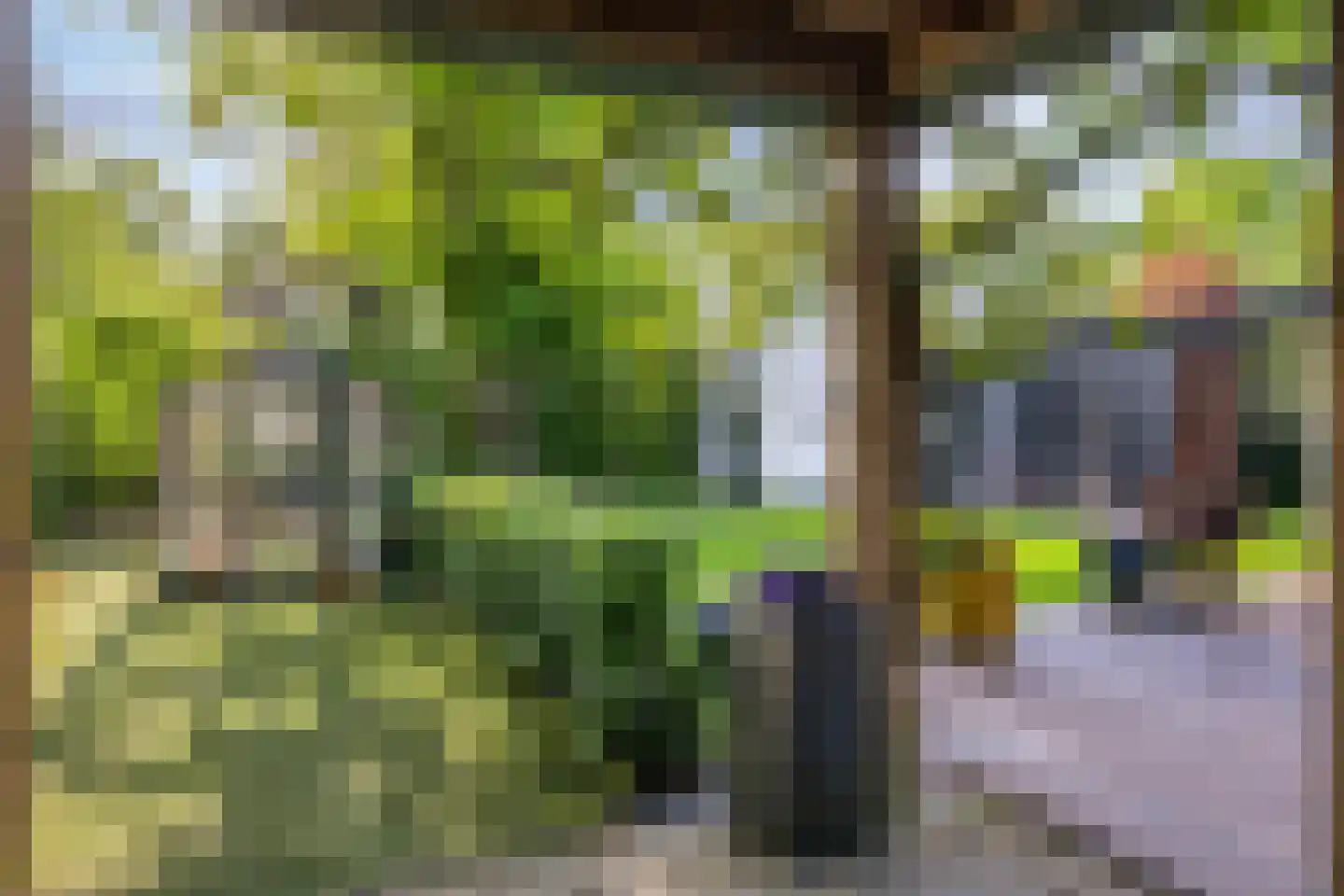 Debussylaan 22 Rosmalen thumbnail 22
