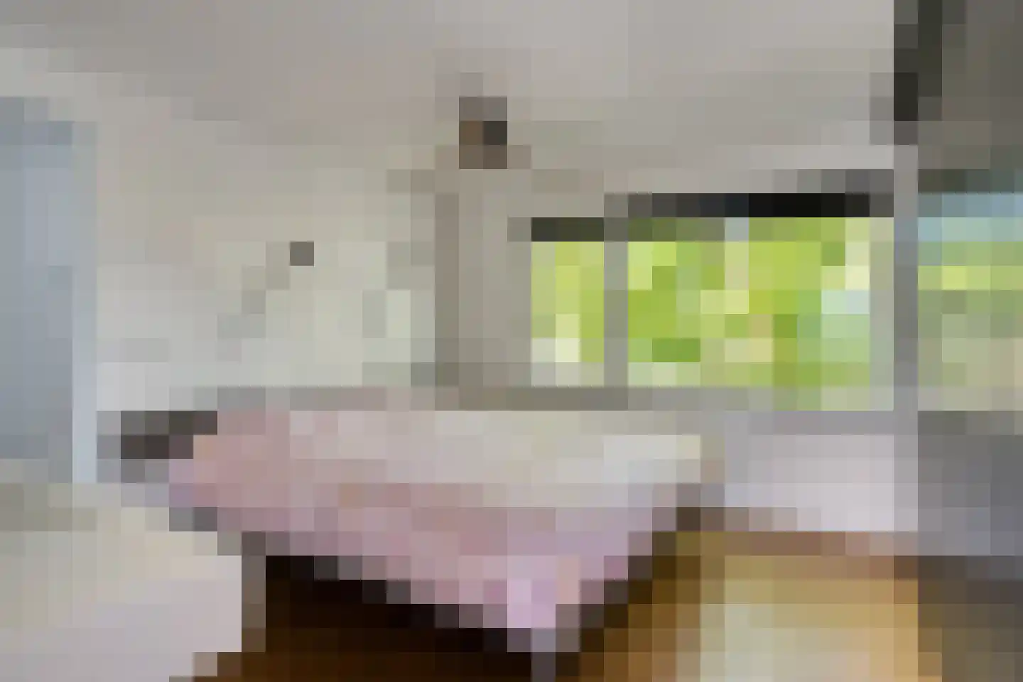 Debussylaan 22 Rosmalen thumbnail 32