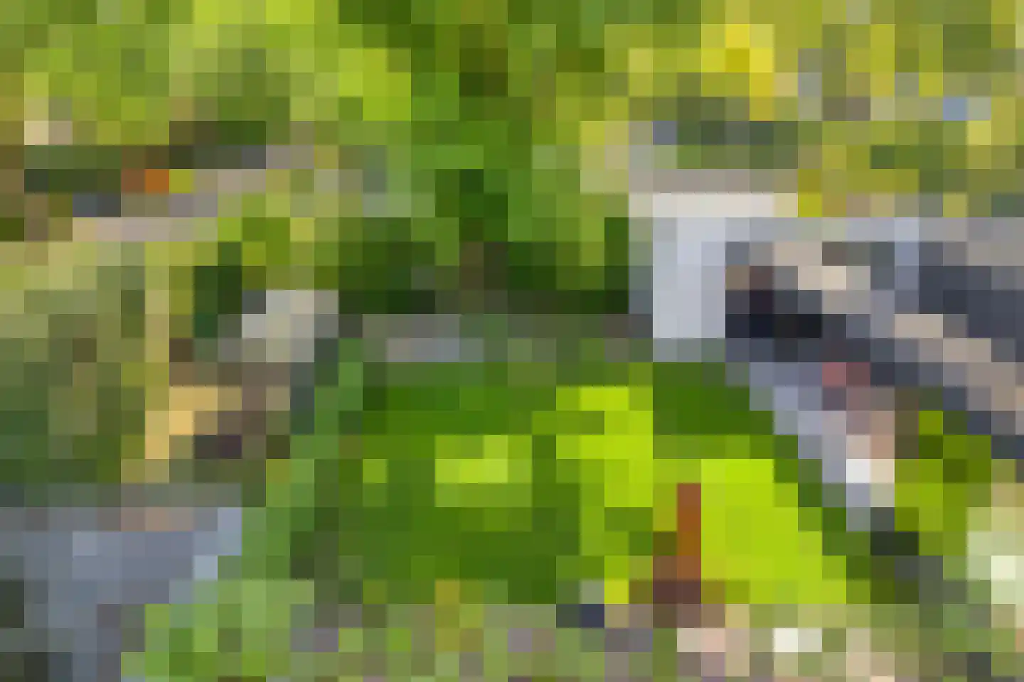 Debussylaan 22 Rosmalen thumbnail 40