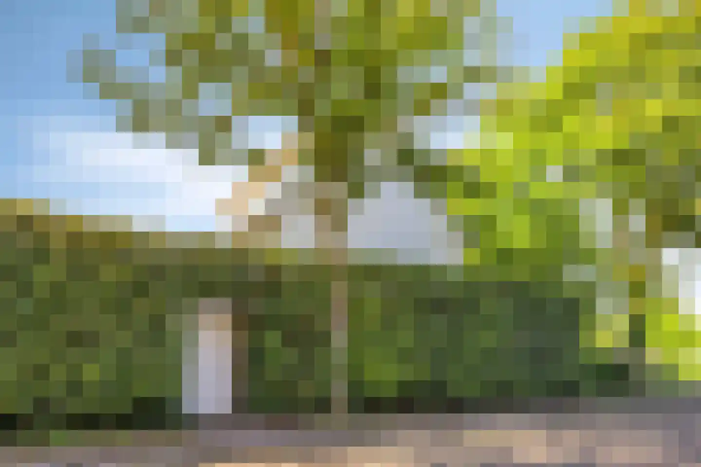Debussylaan 22 Rosmalen thumbnail 43