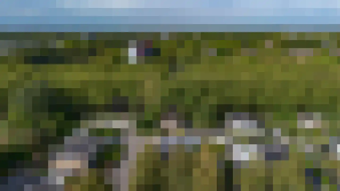 Debussylaan 31 Tilburg thumbnail 27