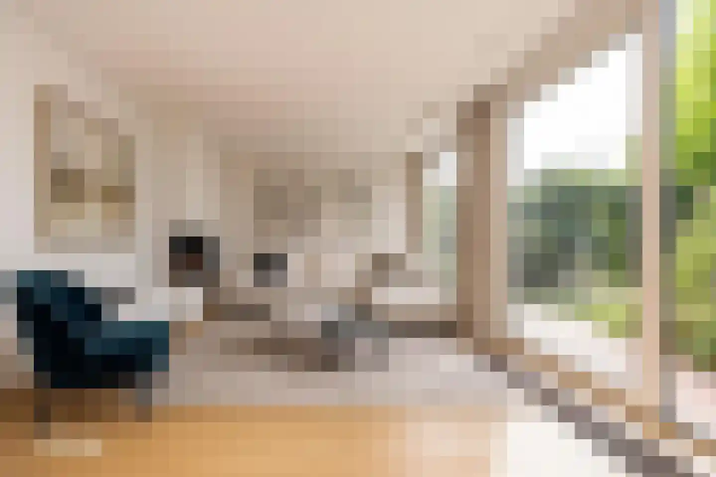 Debussylaan 31 Tilburg thumbnail 9