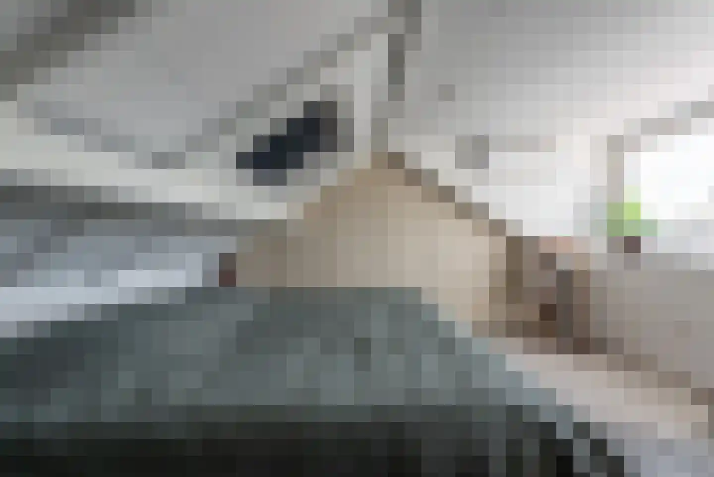 Debussylaan 38 Apeldoorn thumbnail 28