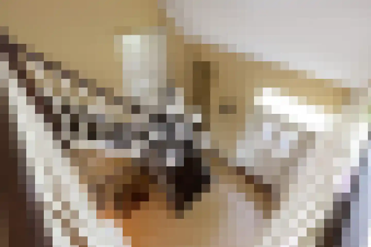 Debussylaan 39 Tilburg thumbnail 22