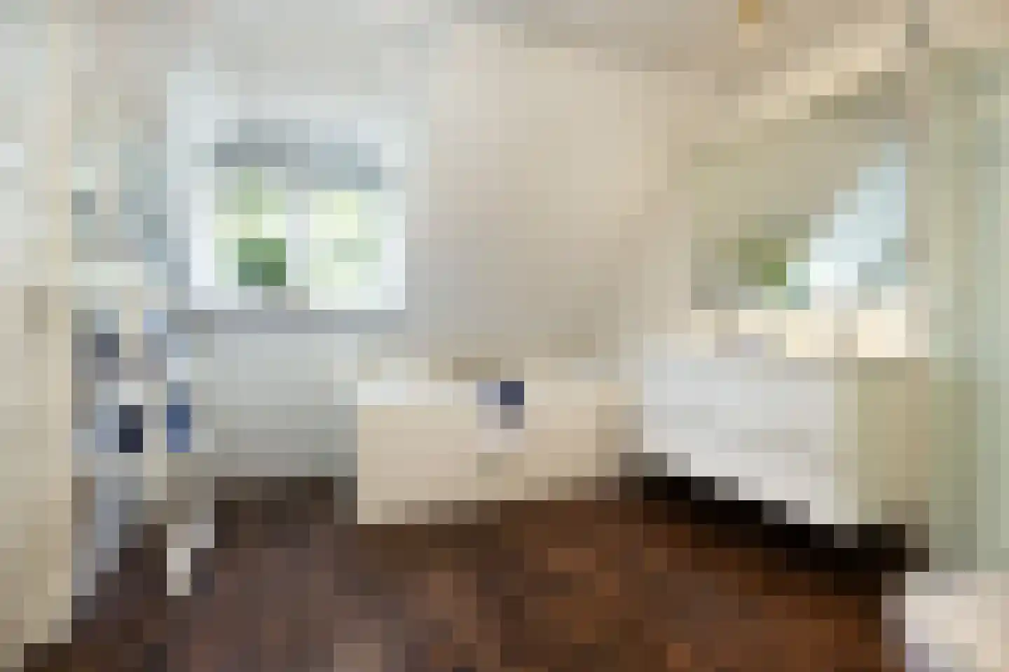 Debussylaan 39 Tilburg thumbnail 30
