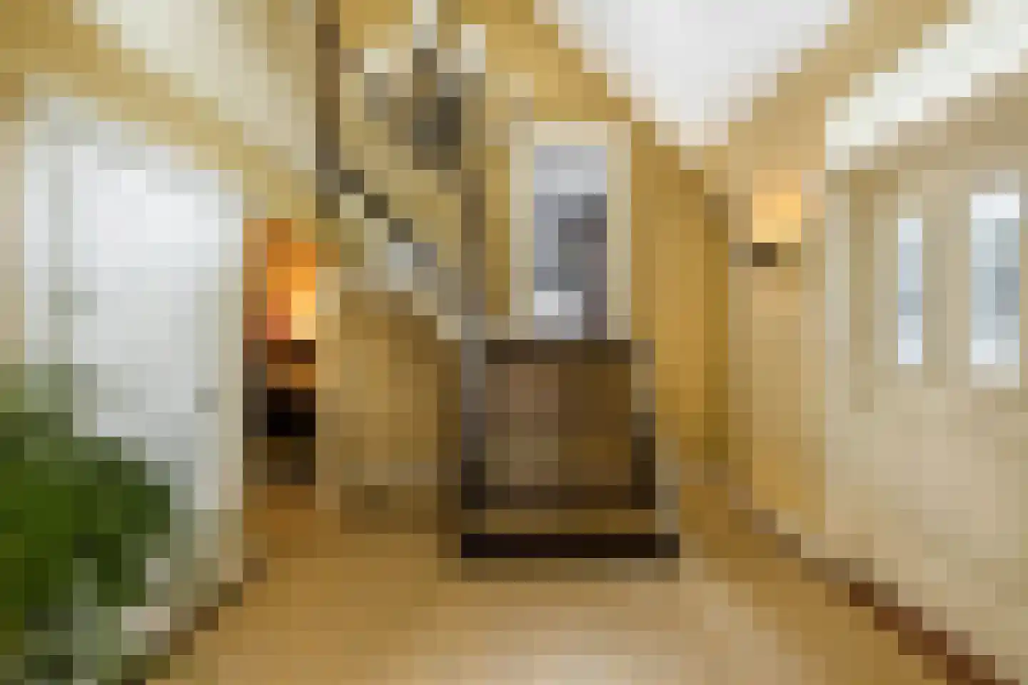Debussylaan 39 Tilburg thumbnail 8