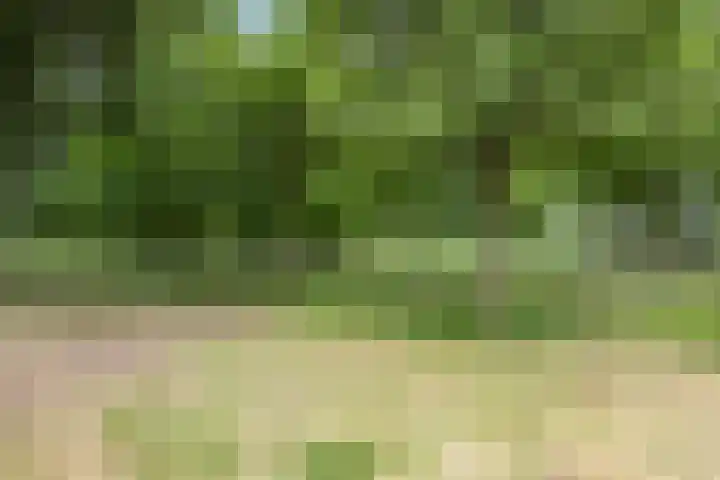 Debussylaan 54 Apeldoorn thumbnail 26