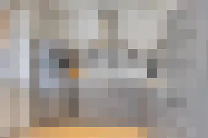 Debussylaan 54 Apeldoorn thumbnail 7