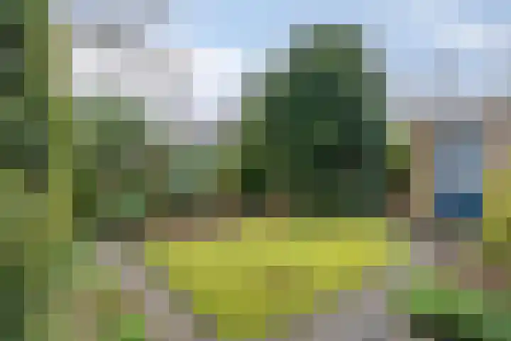Debussylaan 58 Assen thumbnail 31