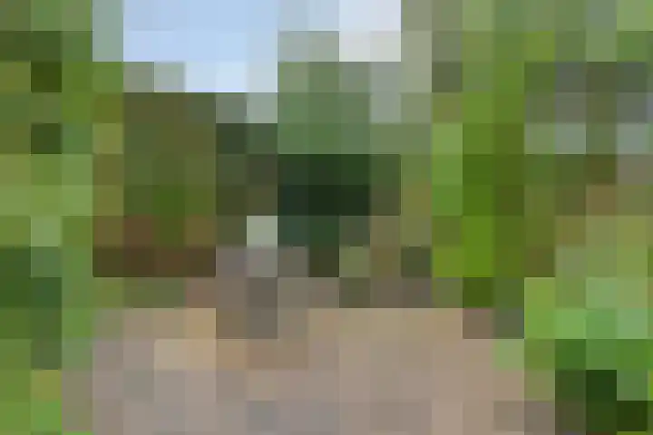 Debussylaan 58 Assen thumbnail 34