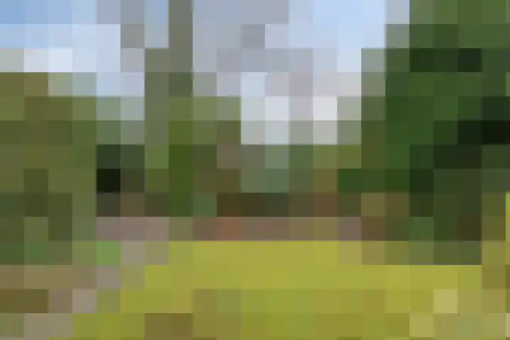 Debussylaan 58 Assen thumbnail 37